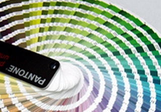 pantone swatches